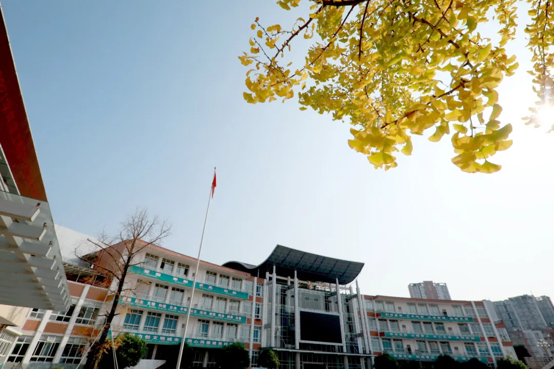 2024年成都中考,这些行为要禁止! 第20张