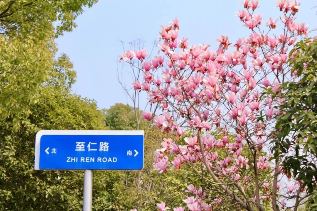 高考倒计时10天 | 金榜题名 旗开得胜 第21张 高考倒计时10天 | 金榜题名 旗开得胜 第21张