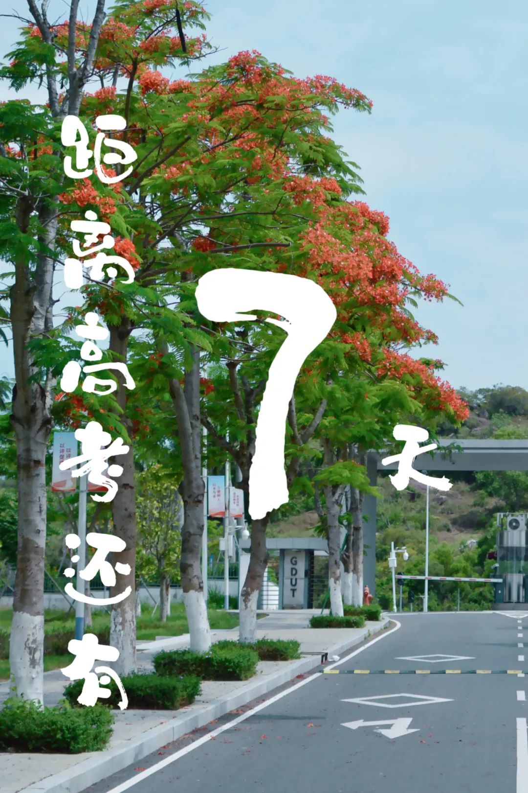 高考倒计时10天!我们在揭阳校区等你共赴灿烂之约! 第4张 高考倒计时10天!我们在揭阳校区等你共赴灿烂之约! 第4张
