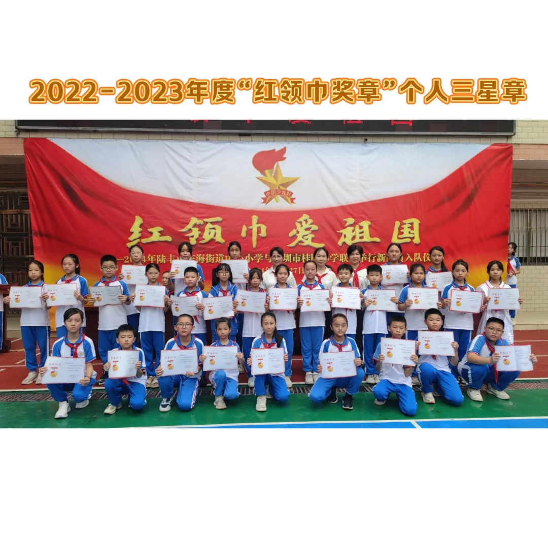 红领巾爱祖国——陆丰市东海街道中心小学、深圳市罗湖区桂园小学联合举行2024年新队员入队仪式 第72张