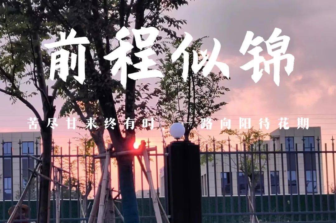 高考倒计时10天 | 铸剑磨锋,题名荣耀 第21张