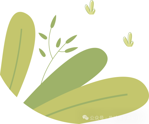 初探小学,礼遇成长——龙幼宝贝走进小学,赴一场成长之约 第15张