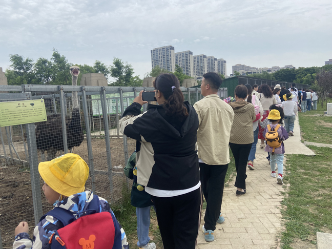 【乐趣课程】初探小学 礼遇成长——西塘丽景幼儿园幼小衔接之走进秀夫小学 第23张