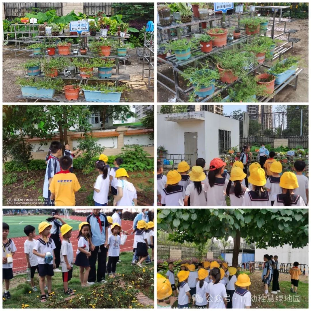 【参观小学初体验 幼小衔接促成长】—广幼稚慧绿地幼儿园幼小衔接活动之参观小学! 第20张 【参观小学初体验 幼小衔接促成长】—广幼稚慧绿地幼儿园幼小衔接活动之参观小学! 第20张