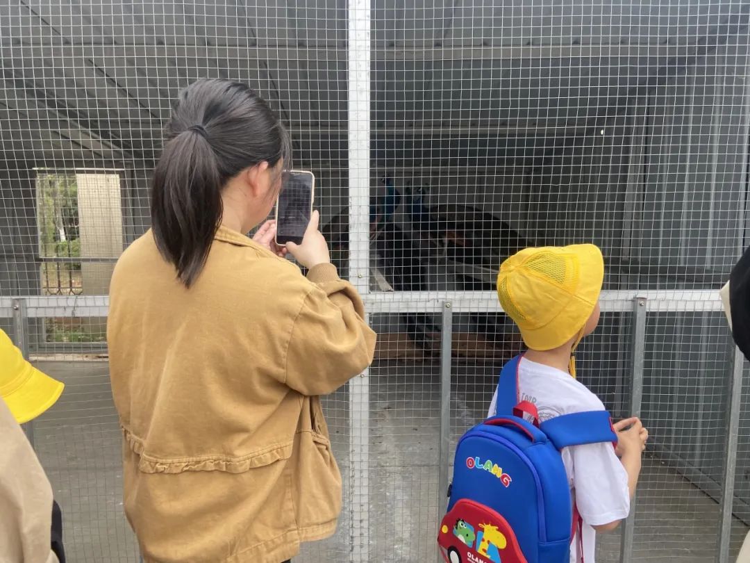 【乐趣课程】初探小学 礼遇成长——西塘丽景幼儿园幼小衔接之走进秀夫小学 第24张