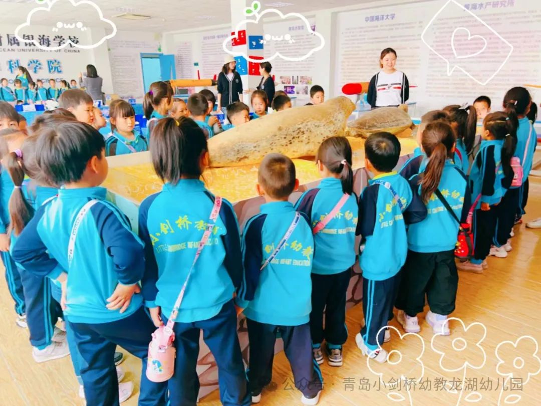 初探小学,礼遇成长——龙幼宝贝走进小学,赴一场成长之约 第26张