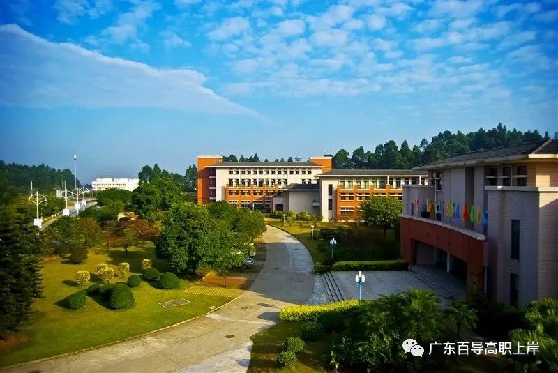 2025广东高职高考辅导班-7月全日制班招生啦!大学校内名额有限! 第10张