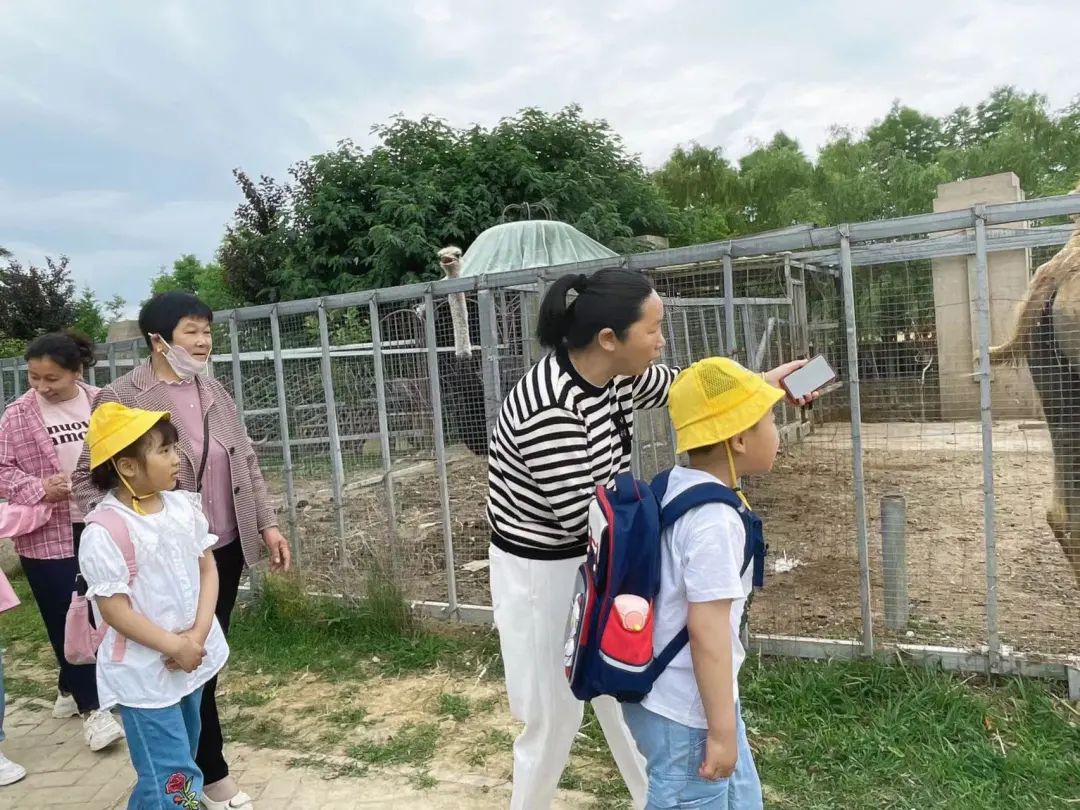 【乐趣课程】初探小学 礼遇成长——西塘丽景幼儿园幼小衔接之走进秀夫小学 第25张