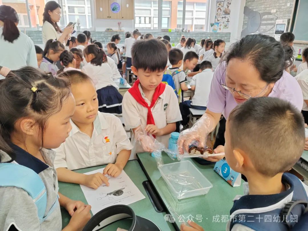 【园点动态】初探小学·礼遇成长 第36张