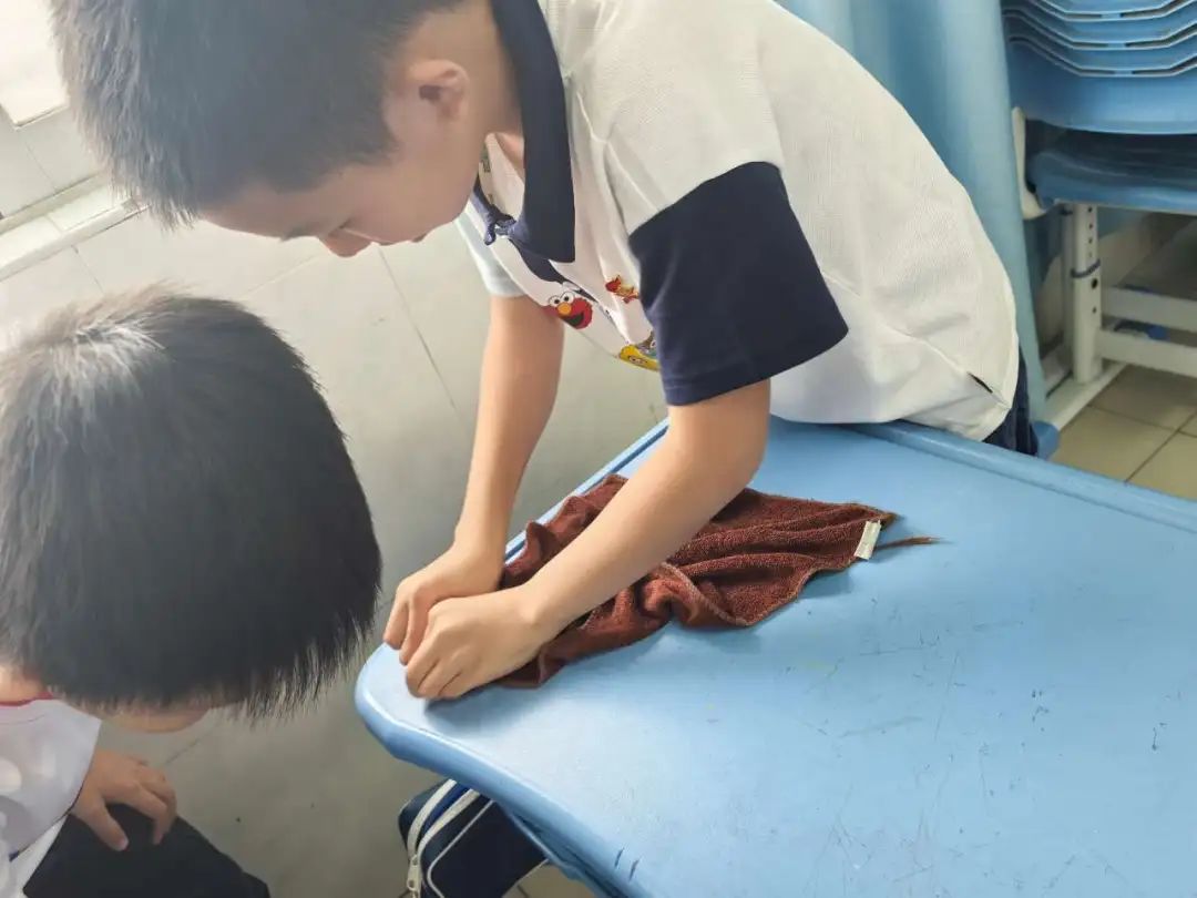 “劳动最光荣” —— 梅山小学学生劳动素养提升系列活动纪实 第208张