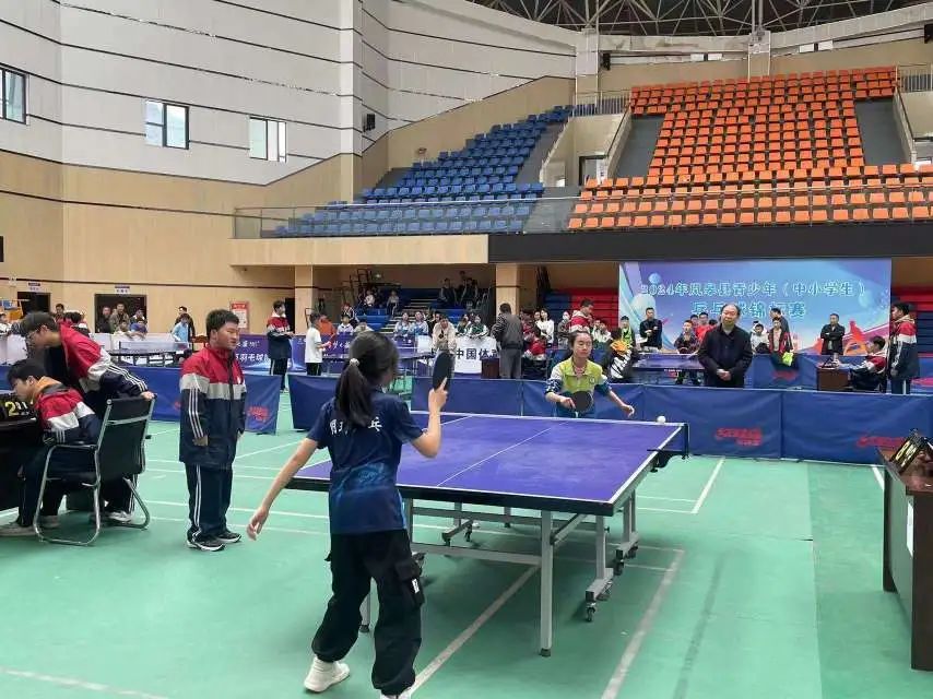 奋发“乒”搏 勇于超越——佐龙小学乒乓球社团活动总结 第13张 奋发“乒”搏 勇于超越——佐龙小学乒乓球社团活动总结 第13张
