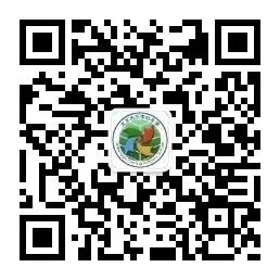 提灯引路,育梦成光——大王古庄中心小学最美教师风采展(六) 第16张 提灯引路,育梦成光——大王古庄中心小学最美教师风采展(六) 第16张