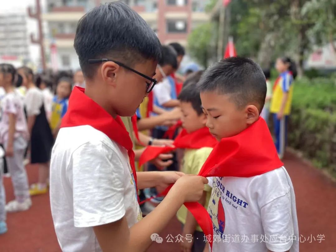城郊应台小学:红领巾添彩,新队员入队 第4张