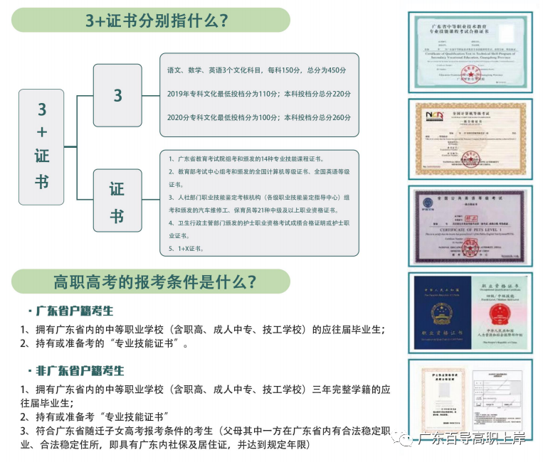 2025广东高职高考辅导班-7月全日制班招生啦!大学校内名额有限! 第19张