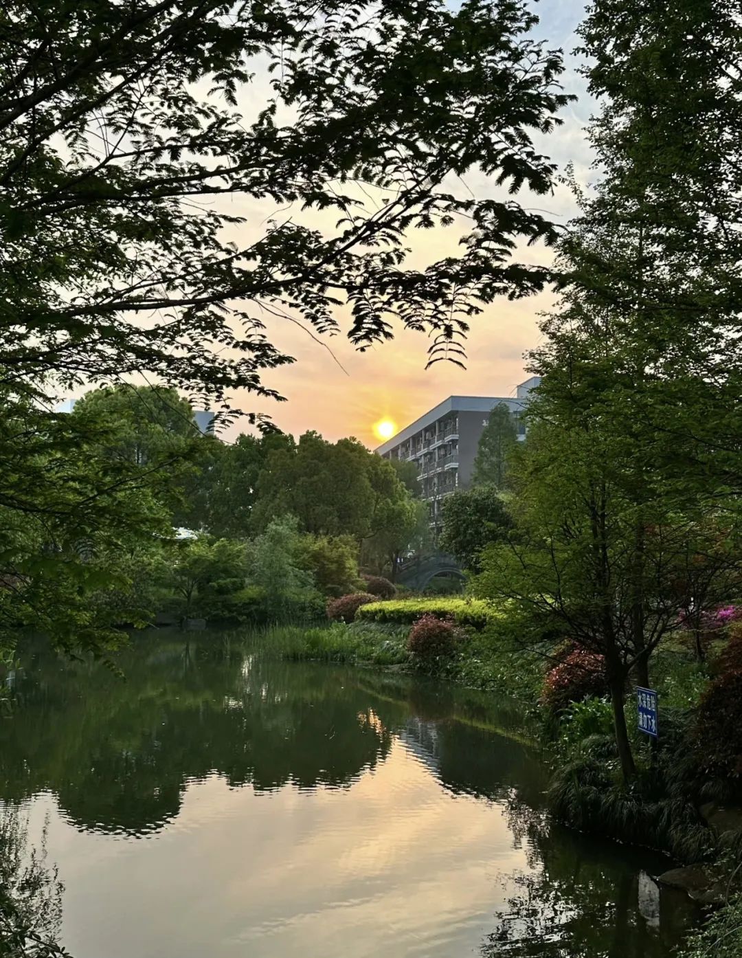 高考倒计时10天 | 金榜题名 旗开得胜 第18张 高考倒计时10天 | 金榜题名 旗开得胜 第18张