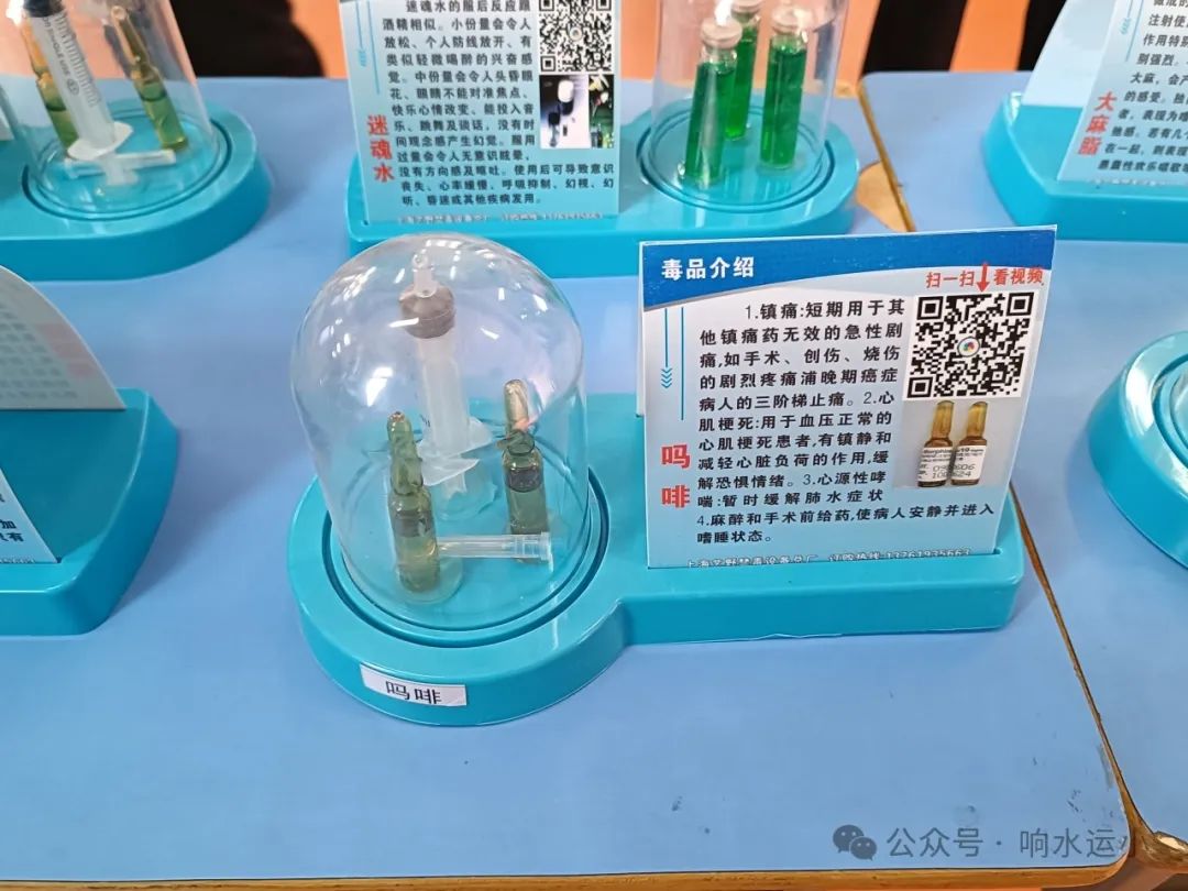 响水县运河中心小学组织开展“禁毒宣传进校园 守护青春助成长”专题讲座 第14张