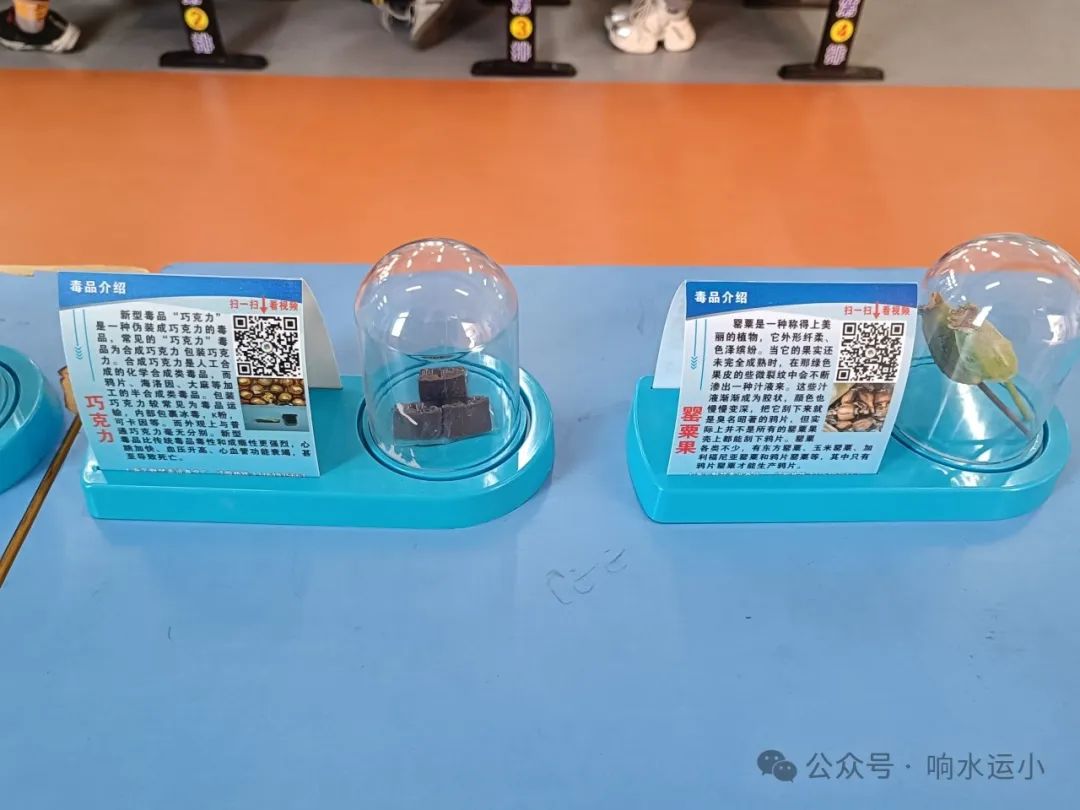 响水县运河中心小学组织开展“禁毒宣传进校园 守护青春助成长”专题讲座 第11张