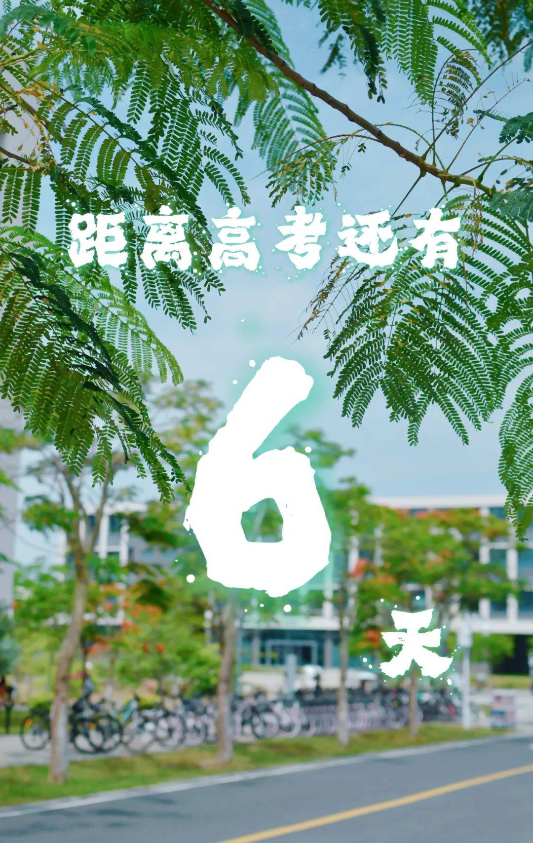 高考倒计时10天!我们在揭阳校区等你共赴灿烂之约! 第5张 高考倒计时10天!我们在揭阳校区等你共赴灿烂之约! 第5张