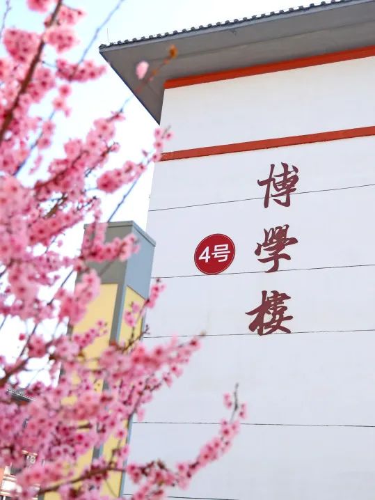 高考倒计时10天!我们在郑体等你! 第22张