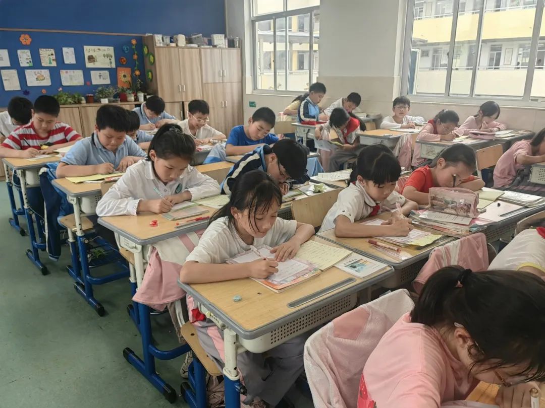 启明城东|城东小学举行三至六年级英语书写比赛 第17张