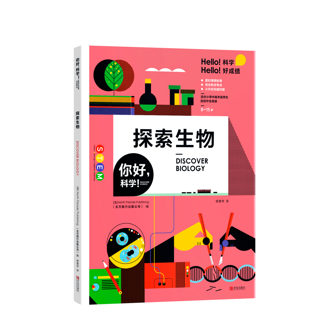 小学拔尖,初中垫底!多少父母后悔少做了这件事!忽视这些对孩子影响实在太大! 第7张