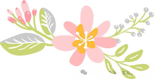 花桥寺小学邀请法制副校长举办法制讲座 第3张