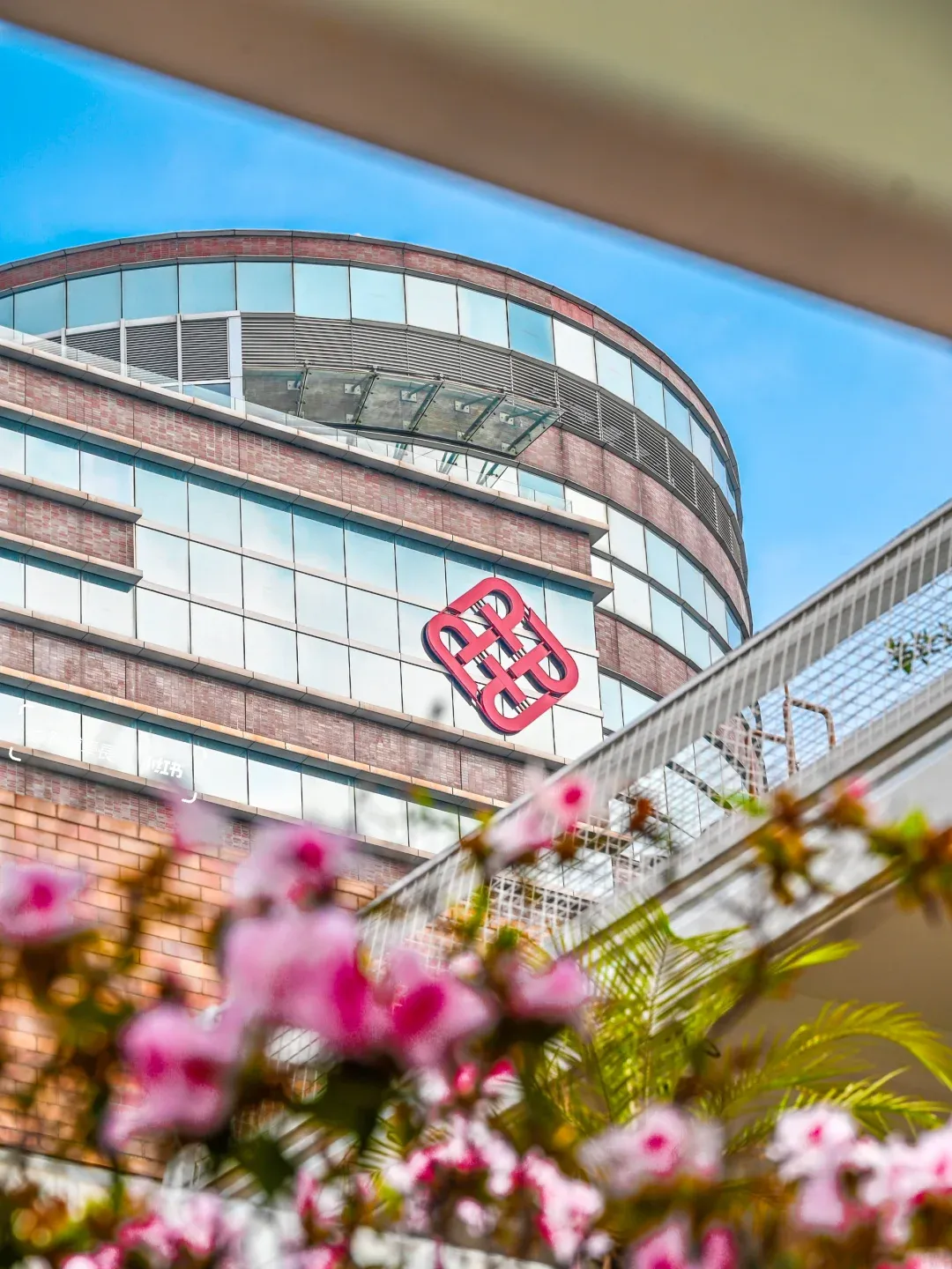 孩子的高考分数,能申请哪些香港的大学? 第13张