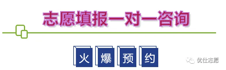 2023年山东高考录取情况统计分析 第2张