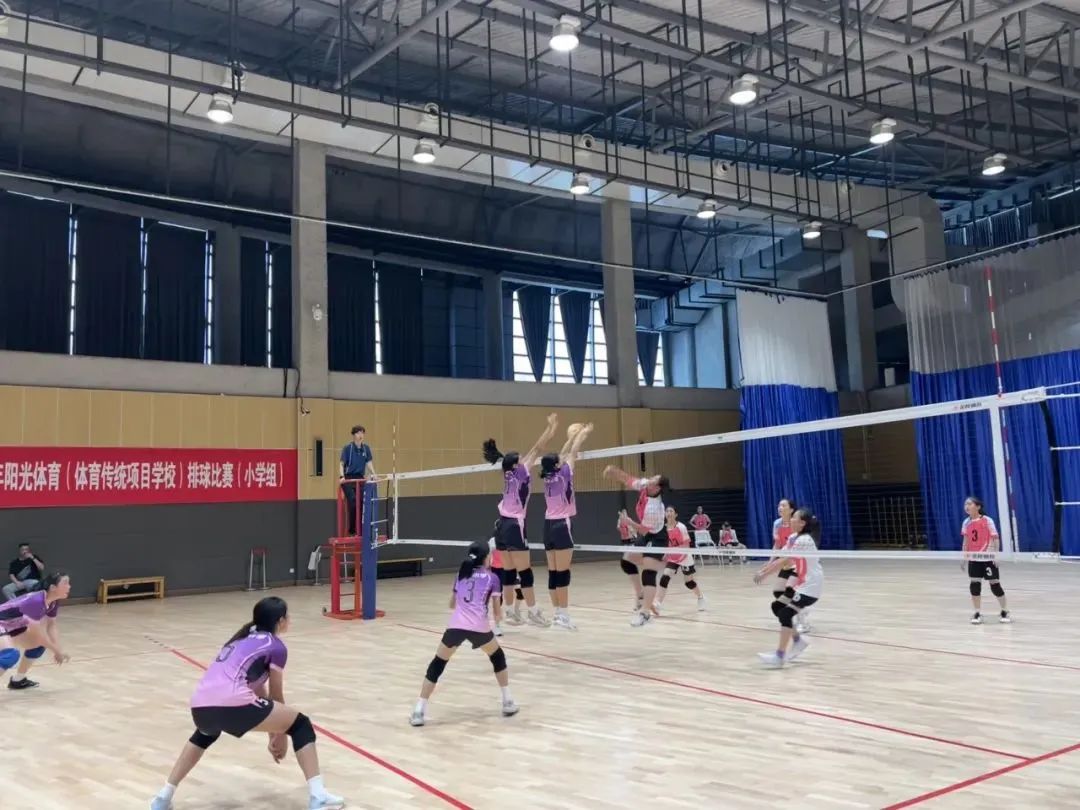 北塘喜报 | 汇宇小学女排,浙江省冠军! 第10张