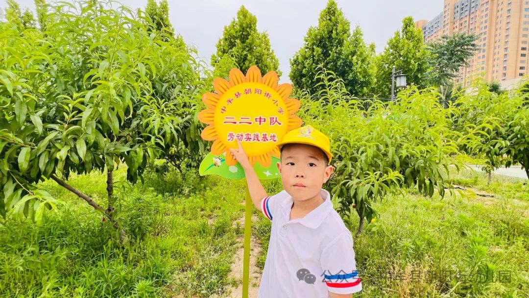 小学“慧”感知,衔接育成长——中牟县朝阳街幼儿园参观小学活动 第60张 小学“慧”感知,衔接育成长——中牟县朝阳街幼儿园参观小学活动 第60张