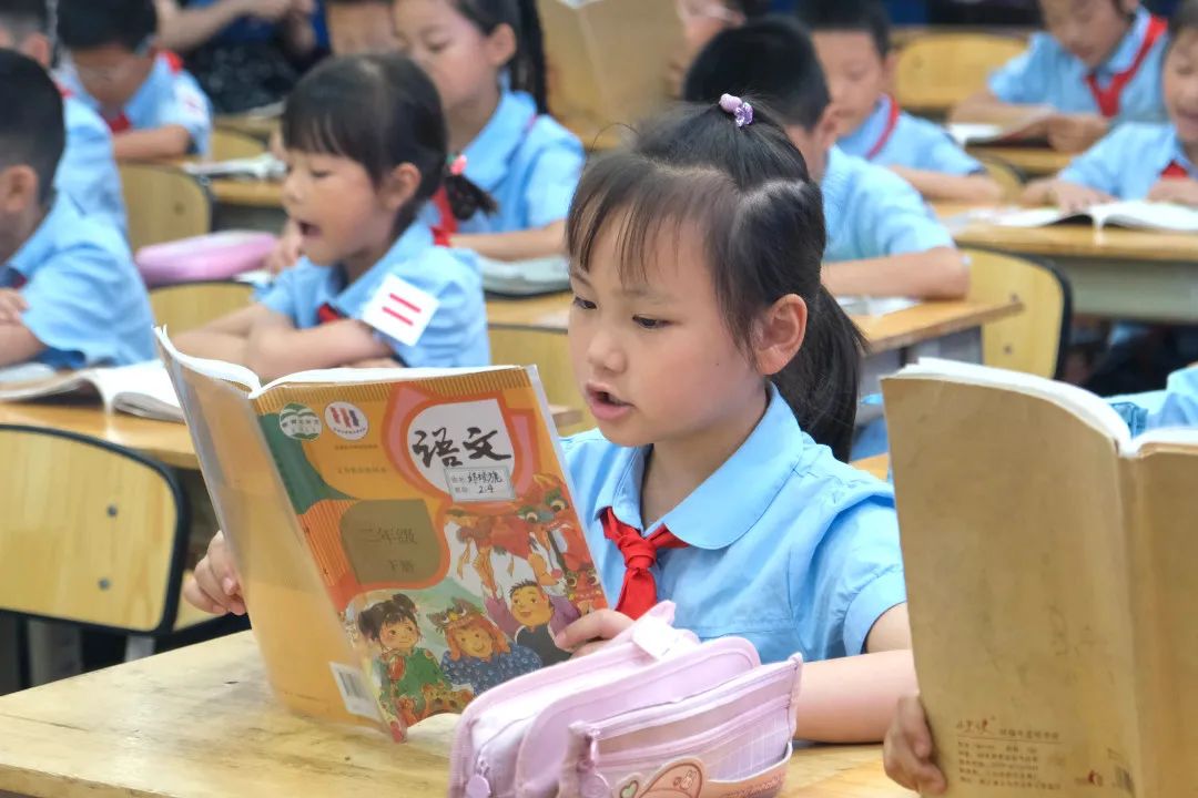 【青教杯】静•美|一窥小学 灵动自然 第15张 【青教杯】静•美|一窥小学 灵动自然 第15张