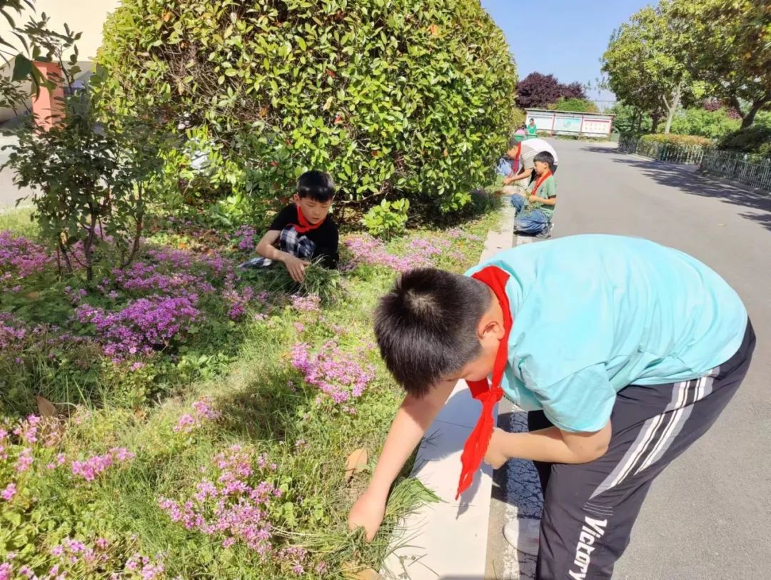 插花赵店小学:心身健康 阳光成长 第15张