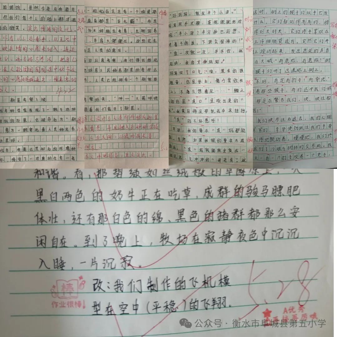 立足常规 行稳致远——阜城县第五小学教学常规检查 第8张 立足常规 行稳致远——阜城县第五小学教学常规检查 第8张
