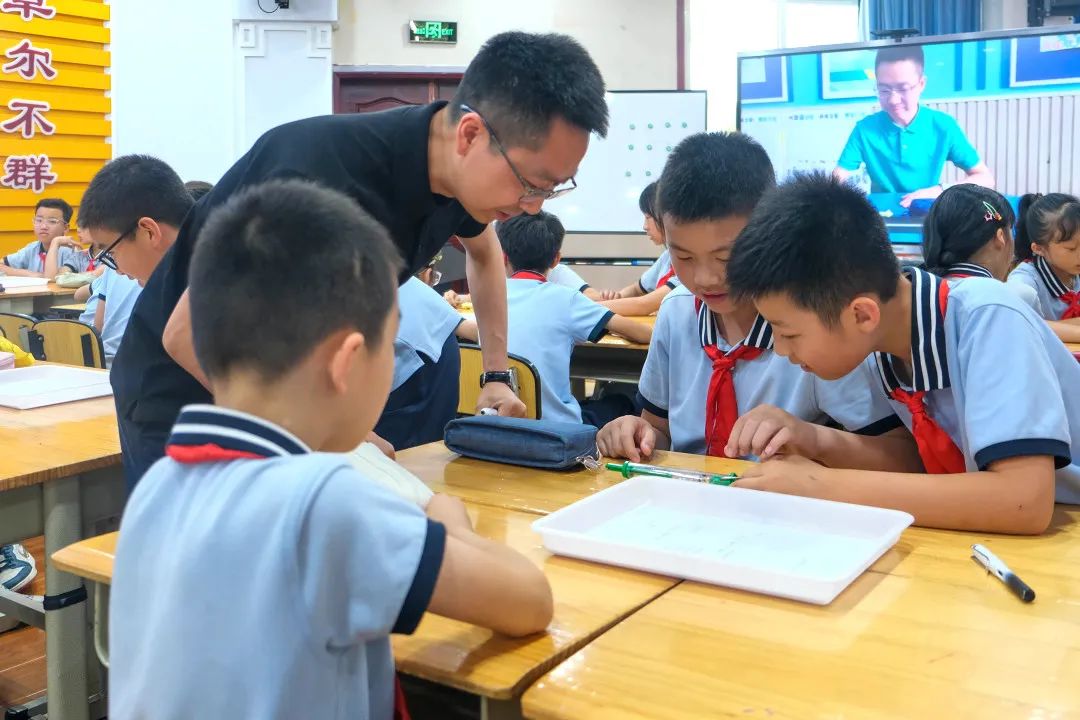 【青教杯】静•美|一窥小学 灵动自然 第63张 【青教杯】静•美|一窥小学 灵动自然 第63张