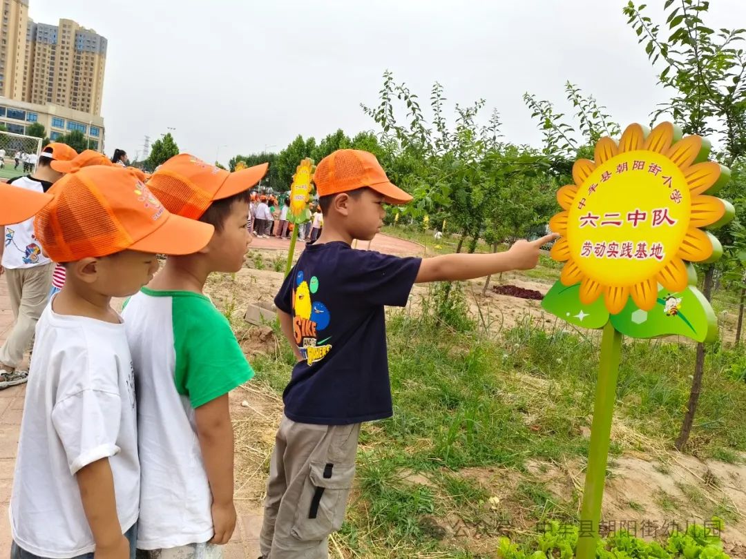 小学“慧”感知,衔接育成长——中牟县朝阳街幼儿园参观小学活动 第53张 小学“慧”感知,衔接育成长——中牟县朝阳街幼儿园参观小学活动 第53张