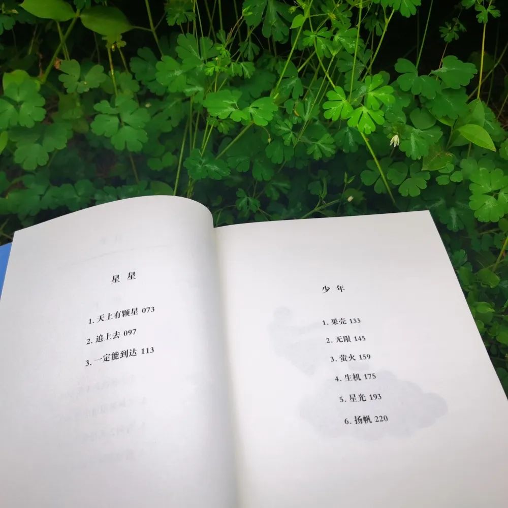 弘毅小学'转角遇见书“读书活动第六十八期:体育组张晓芸和你一起读 第20张 弘毅小学'转角遇见书“读书活动第六十八期:体育组张晓芸和你一起读 第20张