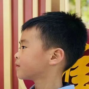 【幼小衔接】“趣”见小学,筑梦成长——紫薇幼儿园大班组入队仪式体验活动 第47张