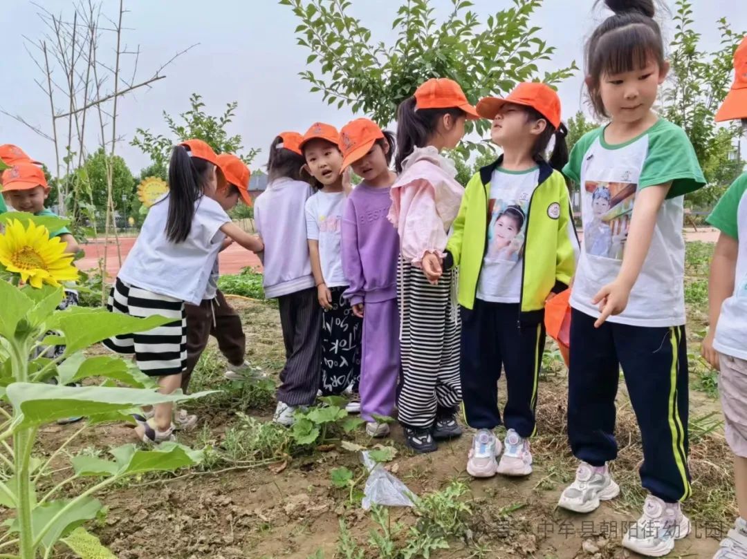 小学“慧”感知,衔接育成长——中牟县朝阳街幼儿园参观小学活动 第56张 小学“慧”感知,衔接育成长——中牟县朝阳街幼儿园参观小学活动 第56张