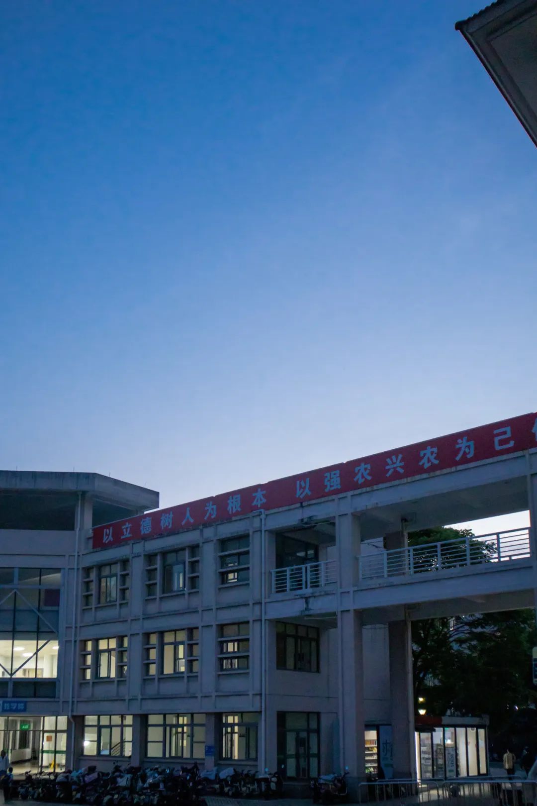 高考倒计时10天|加油!我们在浙农林大等你 第18张 高考倒计时10天|加油!我们在浙农林大等你 第18张