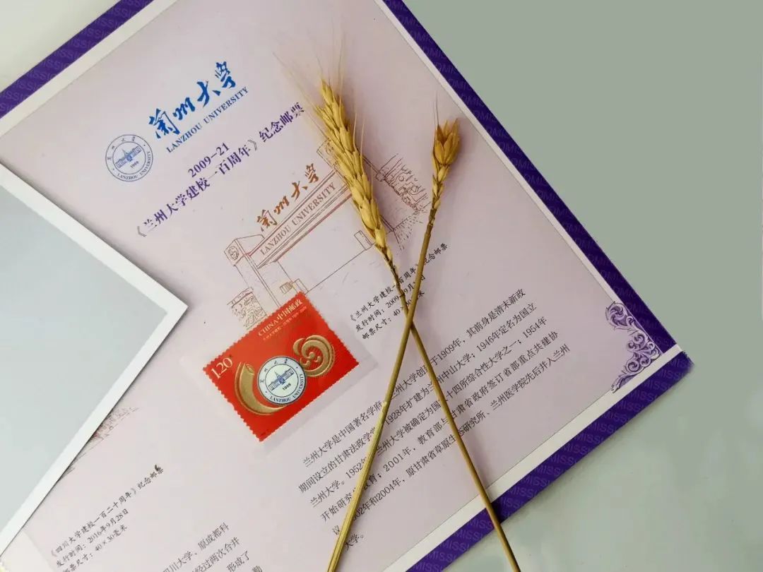 高考前穿旗袍求“旗开得胜”?不如直接送“金榜题名”!清华北大的“状元签”你一定得接住! 第53张