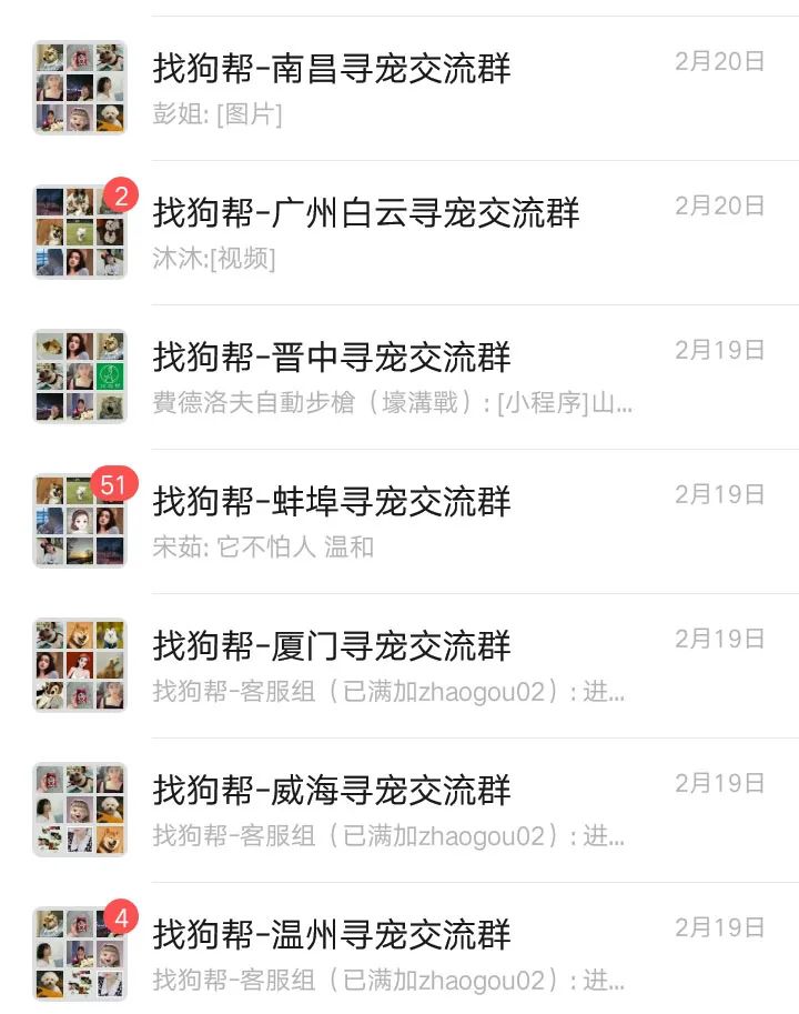 #济南寻狗# 市中区催马小学西侧约70米附近走失一只银狐,如有好心人看到或者收留请联系主人或本平台 第11张