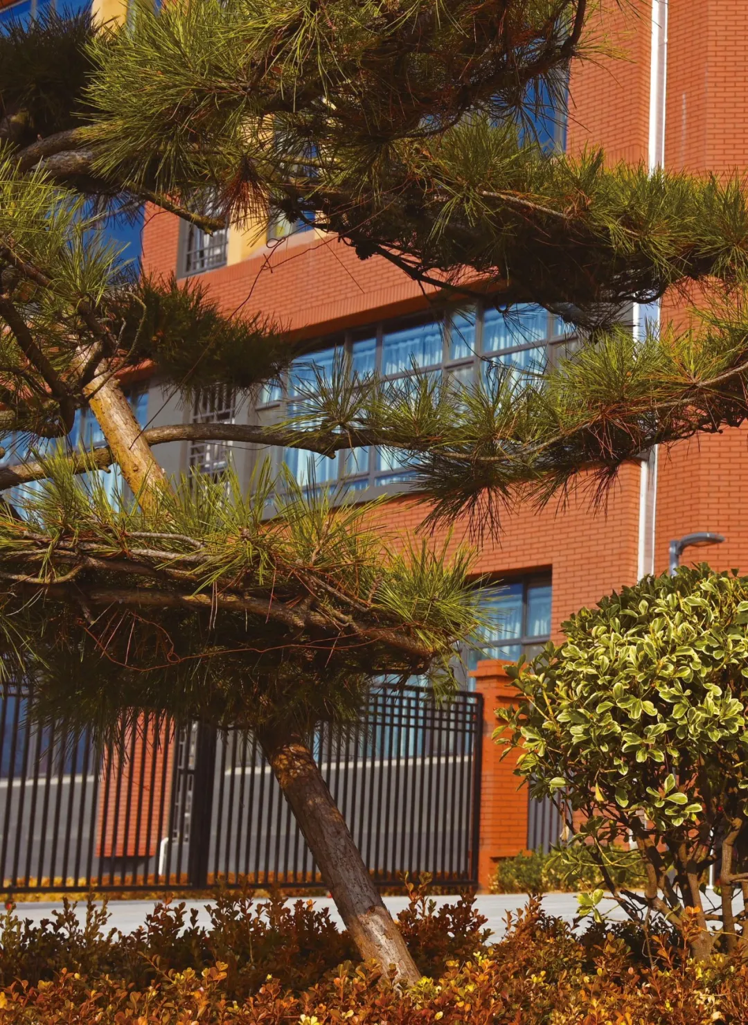 开讲啦!6月2日,《中考升学公益讲座》高中生涯规划最全攻略!家长们千万不要错过! 第9张