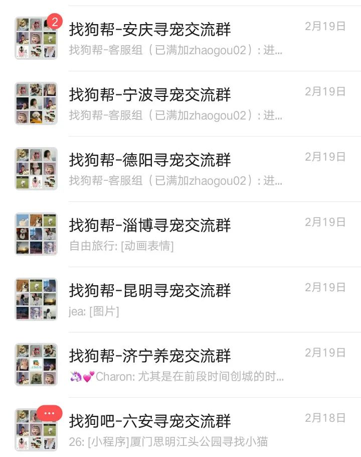 #济南寻狗# 市中区催马小学西侧约70米附近走失一只银狐,如有好心人看到或者收留请联系主人或本平台 第12张