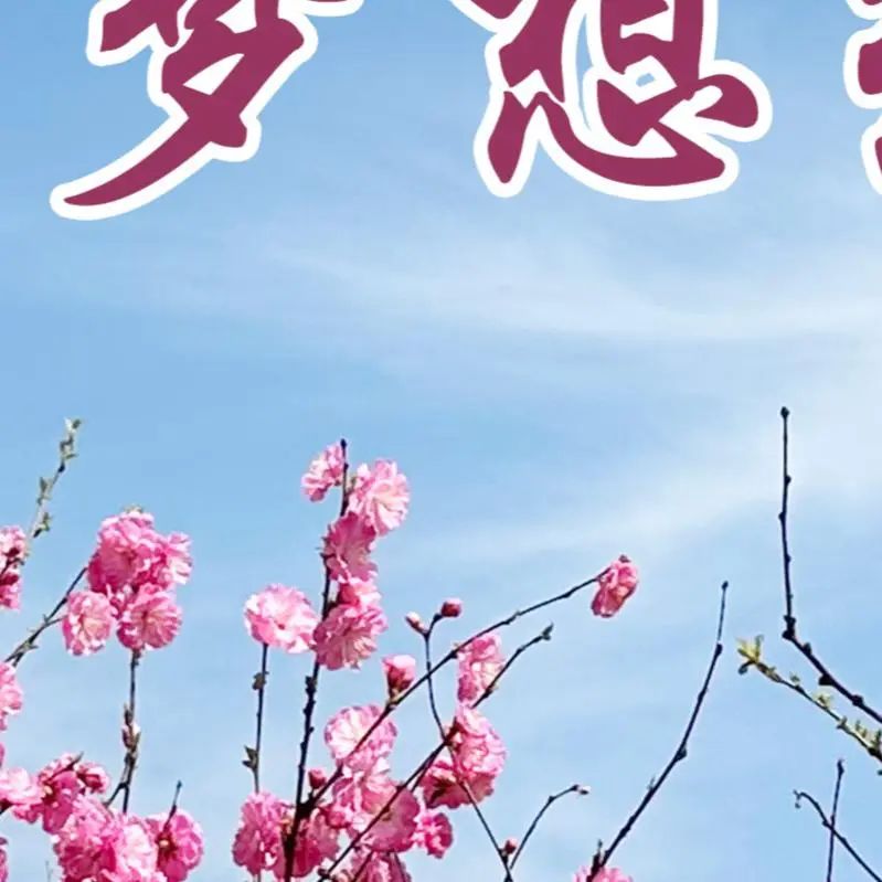 高考倒计时9天,加油! 第29张