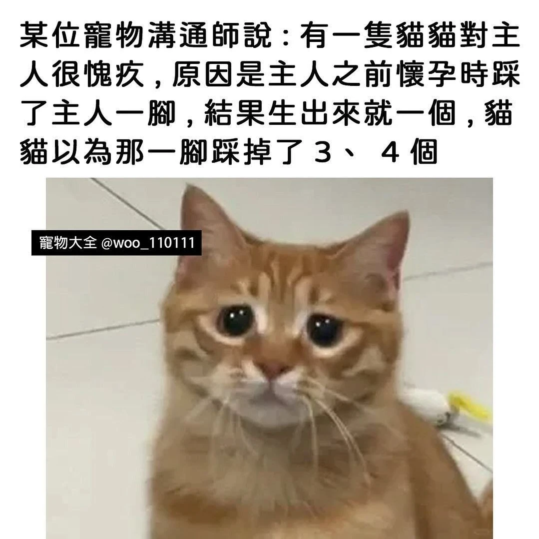 【meme合集】看看小学 第15张