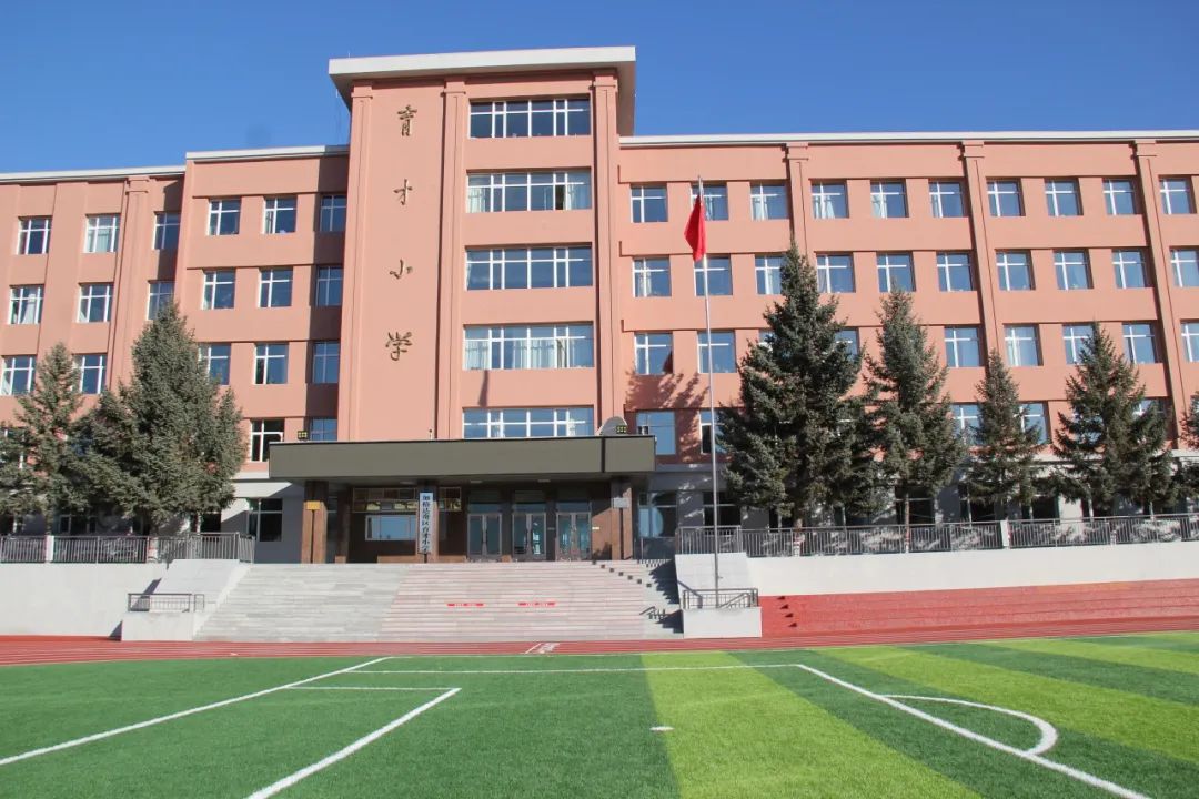 育才小学“红领巾 爱祖国”主题队日暨新队员入队仪式 第17张