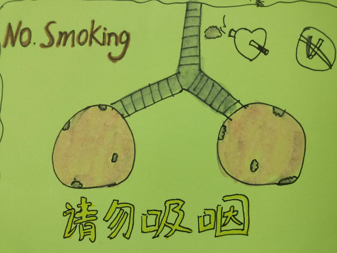 高新区实验小学开展“保护学生免受烟草危害”活动 第24张 高新区实验小学开展“保护学生免受烟草危害”活动 第24张