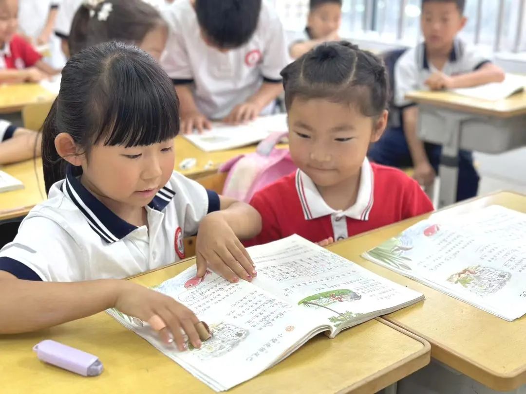 探访小学 科学衔接 第18张