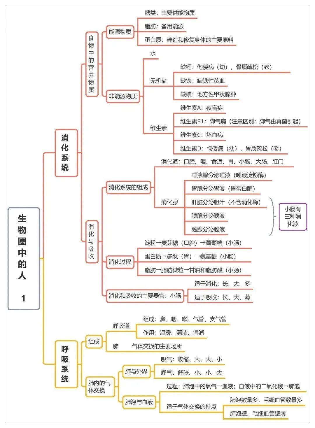 2025年中考地理、生物计入录取总分!地生如何学习考试能得高分? 第20张