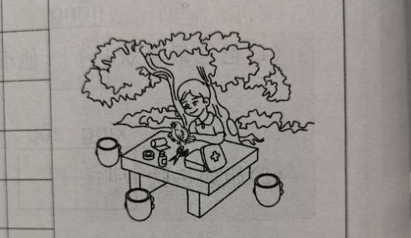 小学一年级语文常考看图写话33篇(附范文)给孩子收藏 第3张